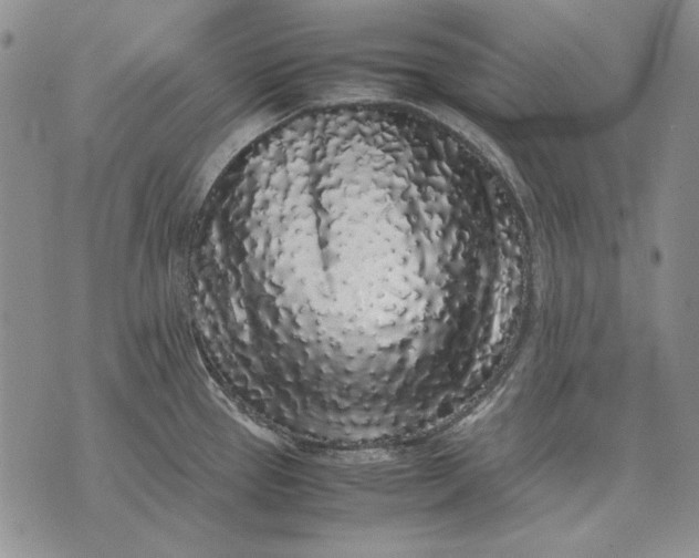 X0000075391337200609251208