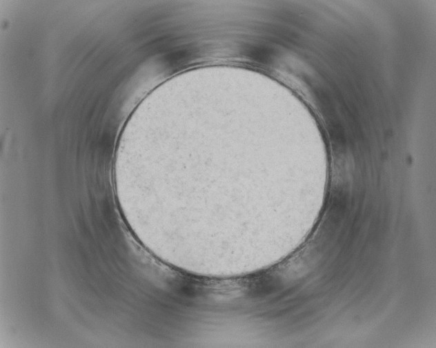 X0000075391338200609251208