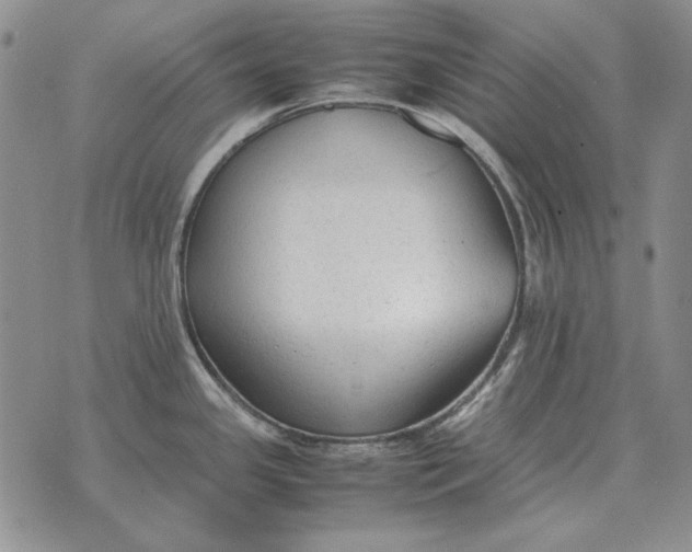 X0000075391341200609251208