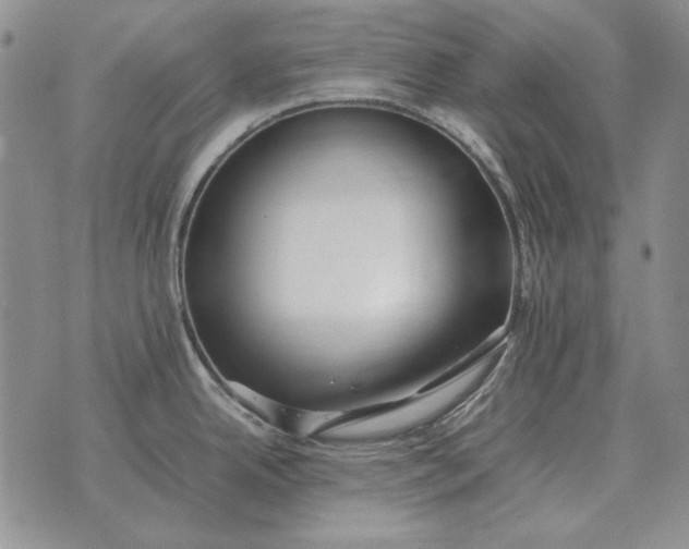 X0000075391342200609251208