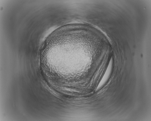 X0000075391367200609251207