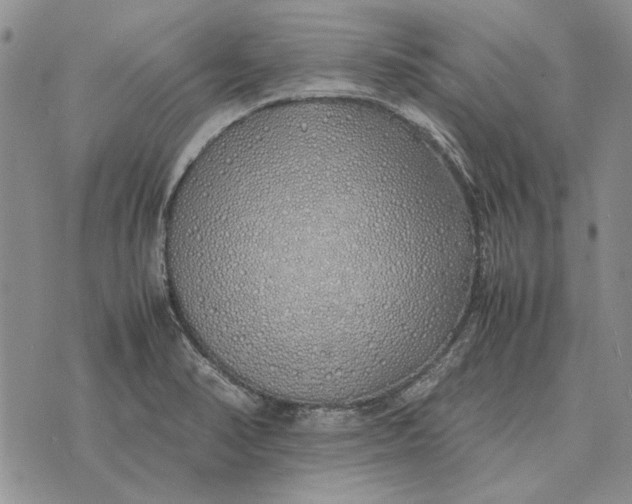 X0000075391374200609251207