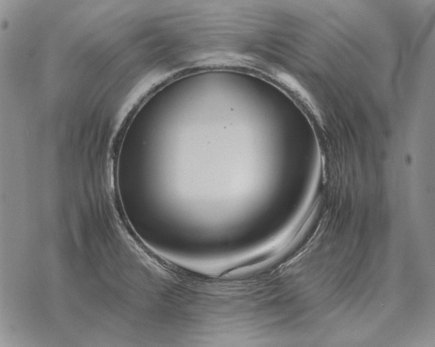 X0000075391376200609251207