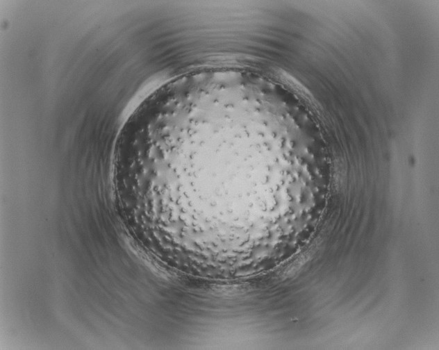X0000075391378200609251207