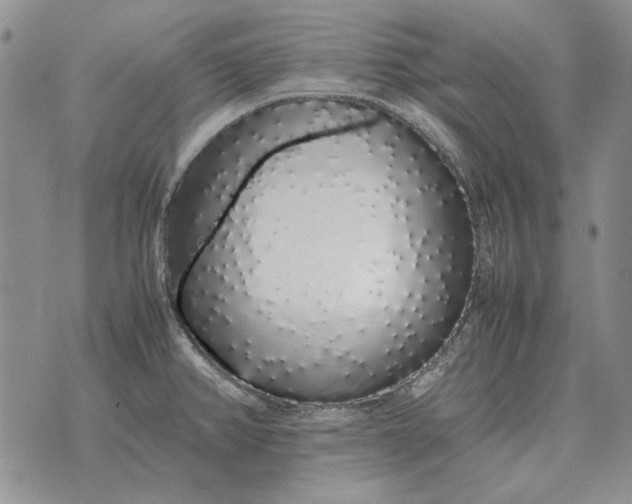 X0000075391382200609251206