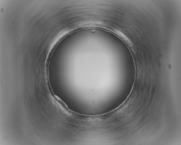 X0000075391384200609251206
