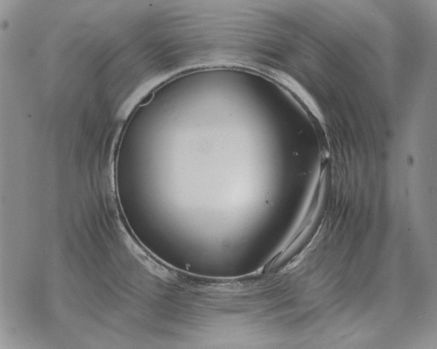 X0000075391388200609251206