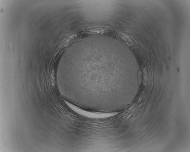 X0000075391394200609251206