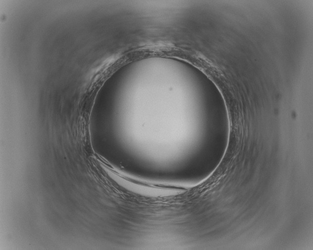 X0000075391398200609251206