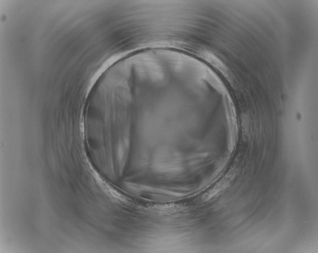 X0000075391428200609251206