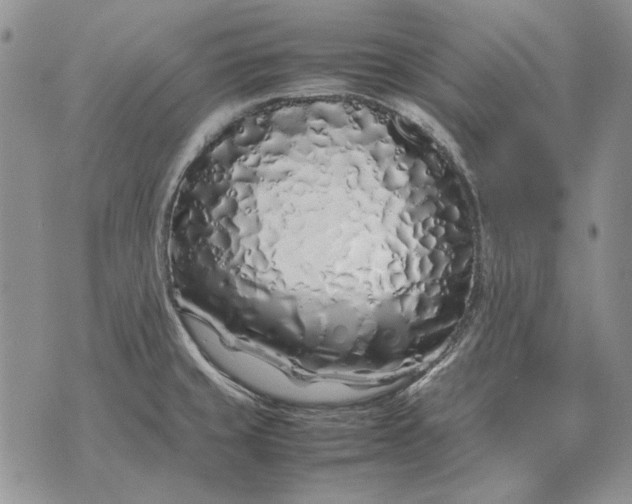 X0000075391429200609251206