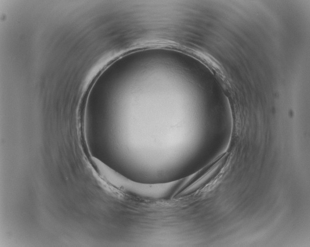 X0000075391430200609251206