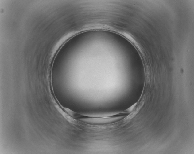 X0000075391438200609251206