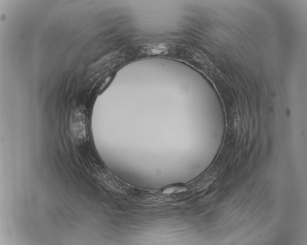 X0000075391442200609251205