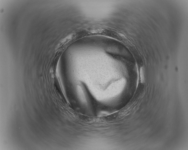 X0000075391443200609251205