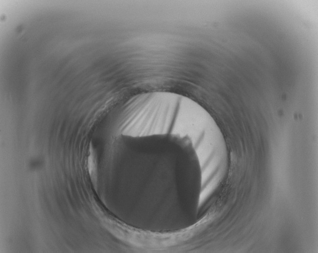 X0000075390048200609291627
