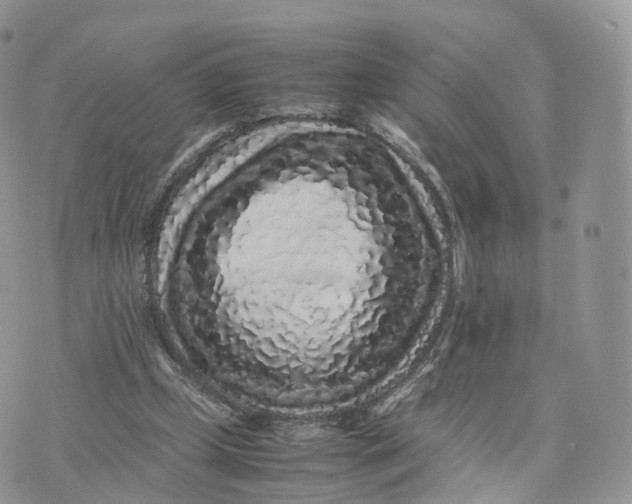 X0000075390249200609291623
