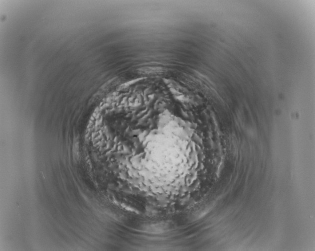 X0000075390267200609291623