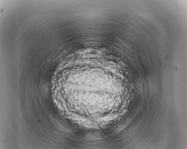 X0000075390271200609291624
