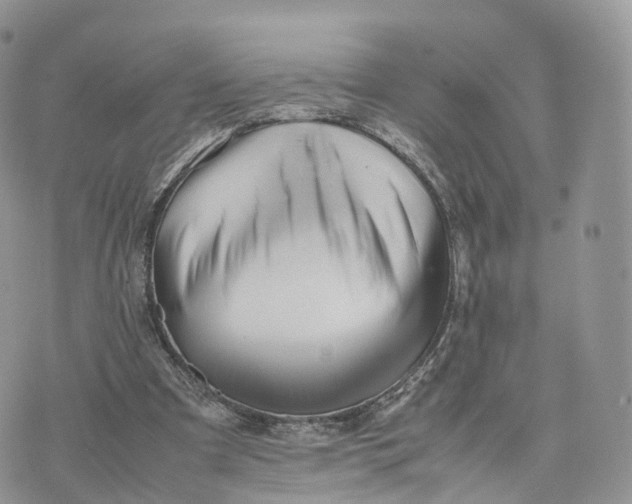 X0000075390297200609291623