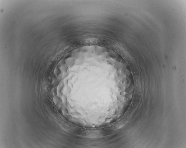 X0000075390363200609291622