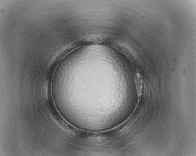 X0000075390404200609291621