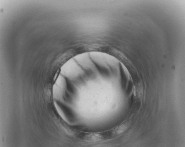 X0000075390427200609291621