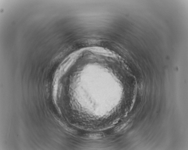 X0000075390462200609291620
