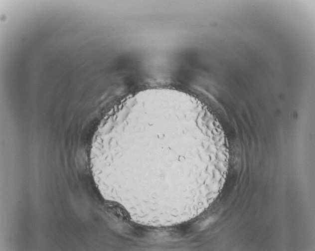 X0000075390523200609291619