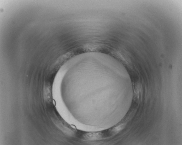X0000075390526200609291619