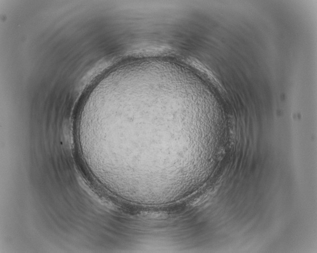 X0000075390582200609291618