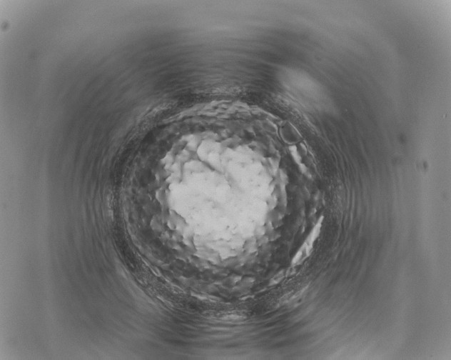 X0000075390643200609291617