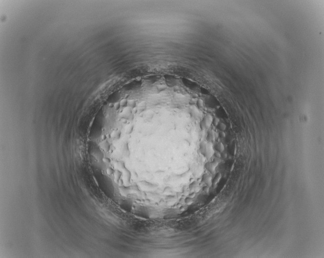 X0000075390648200609291617