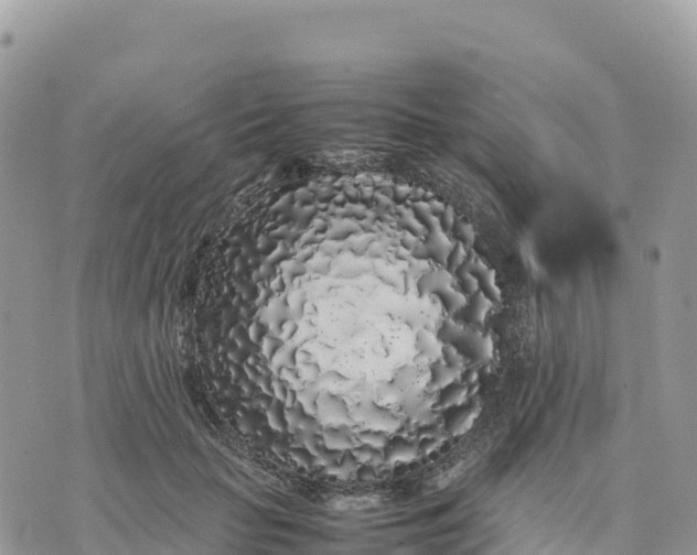X0000075390653200609291617