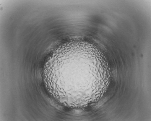 X0000075390662200609291617