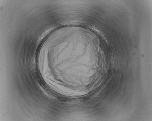 X0000075390674200609291617