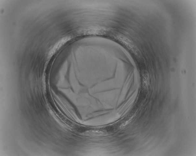 X0000075390678200609291617
