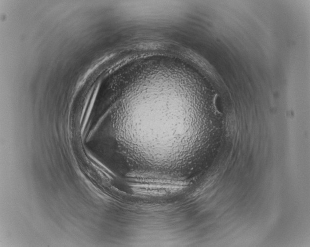 X0000075390722200609291615