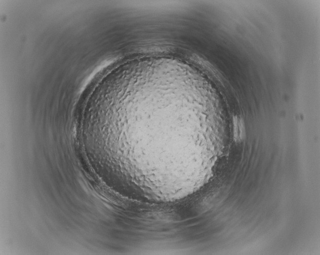 X0000075390723200609291615