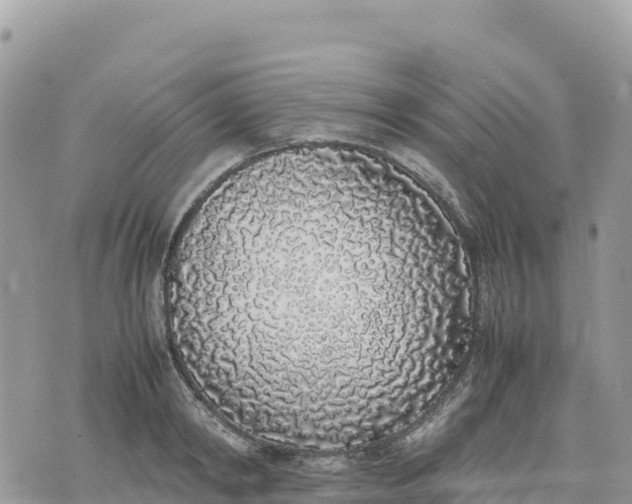 X0000075390798200609291615