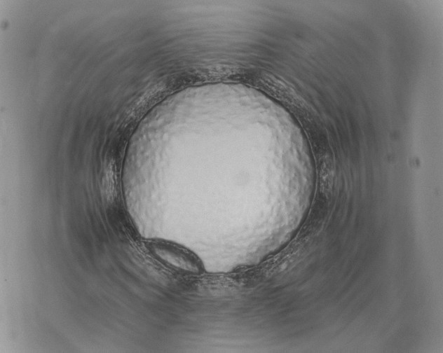 X0000075390866200609291614