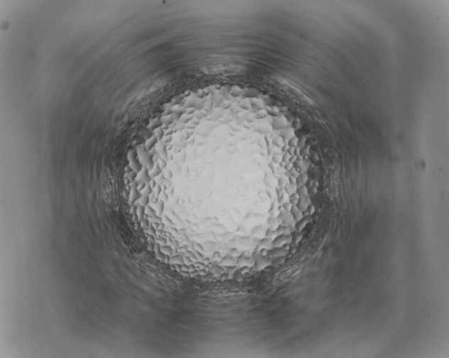 X0000075390917200609291612