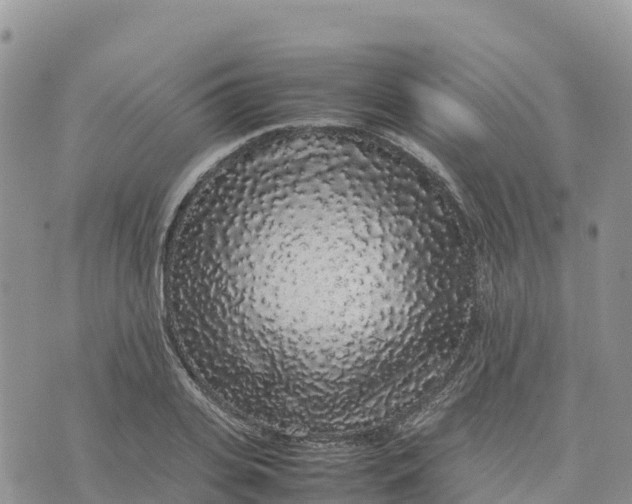 X0000075390935200609291612