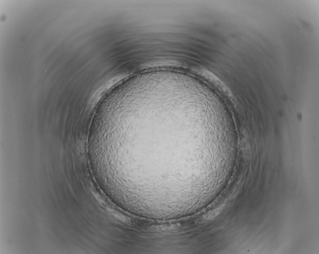 X0000075390937200609291612