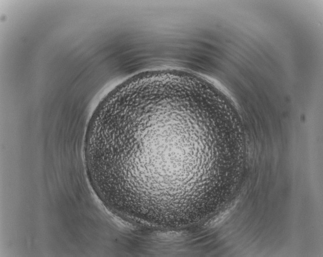 X0000075390943200609291613