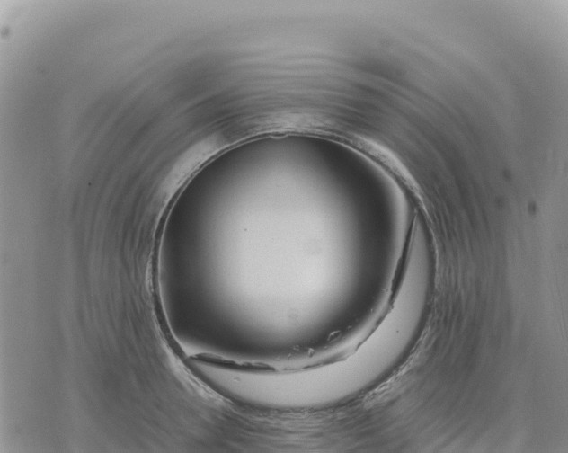 X0000075390946200609291613