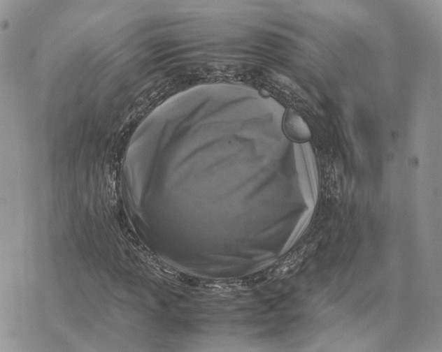 X0000075391013200609291611