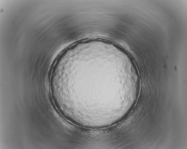 X0000075391032200609291611