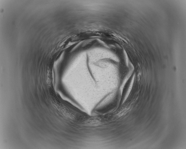 X0000075391156200609291609