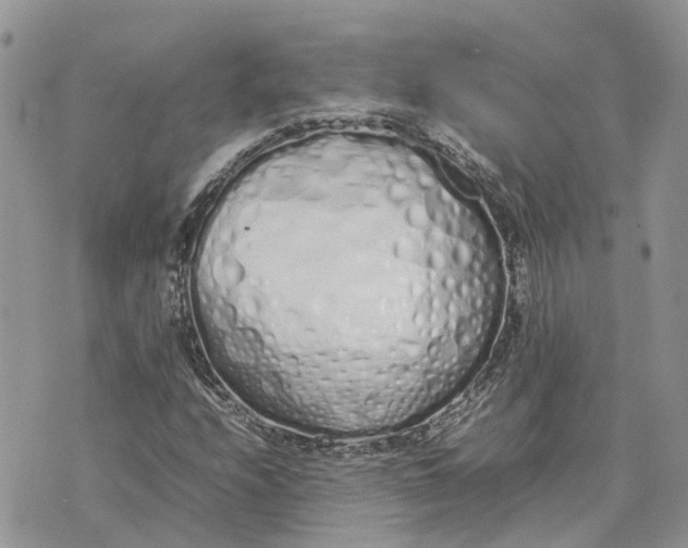 X0000075391208200609291607